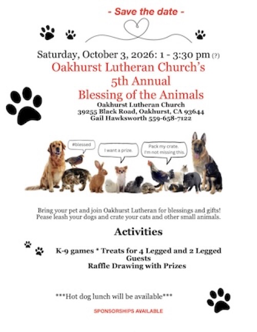 Blessing of the Animals 2026 copy.1
