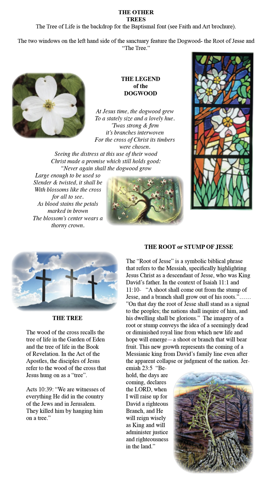 Screenshot 2025-08-13 at 8.39.32 AM